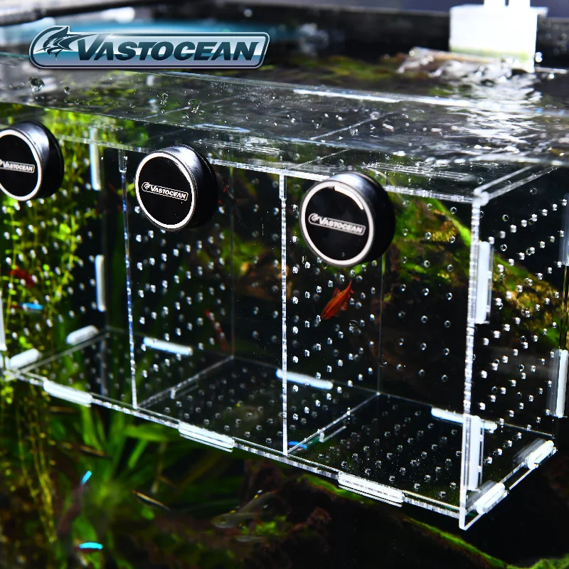 VASTOCEANO-Magnético Combinado - Aquarium Fish And Supplies avaliação e preço
