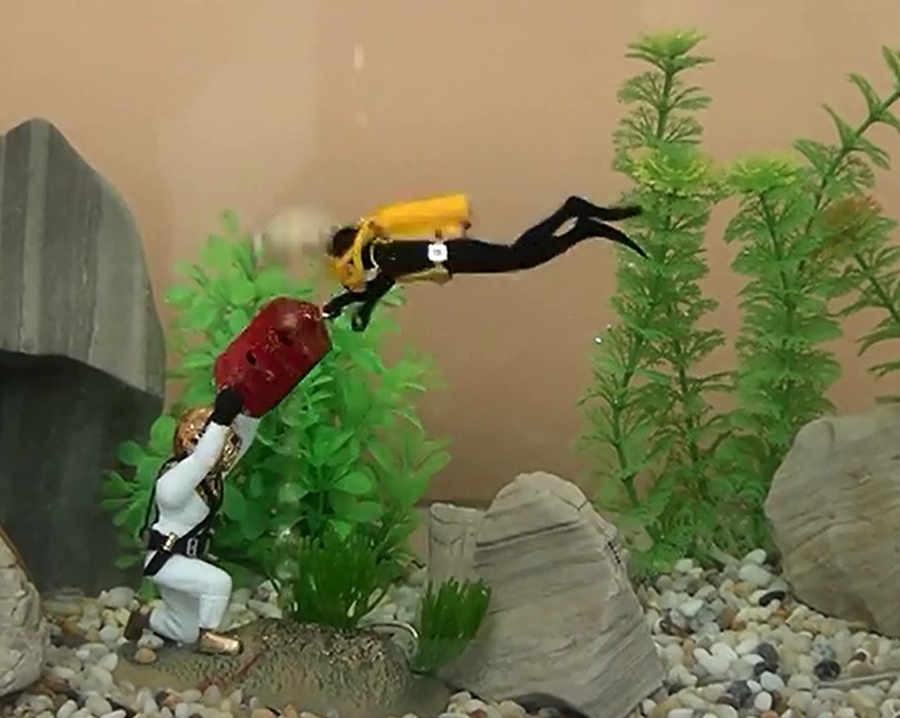 Cabo de guerra submarino Decor - Aquarium Fish Gif avaliação e preço