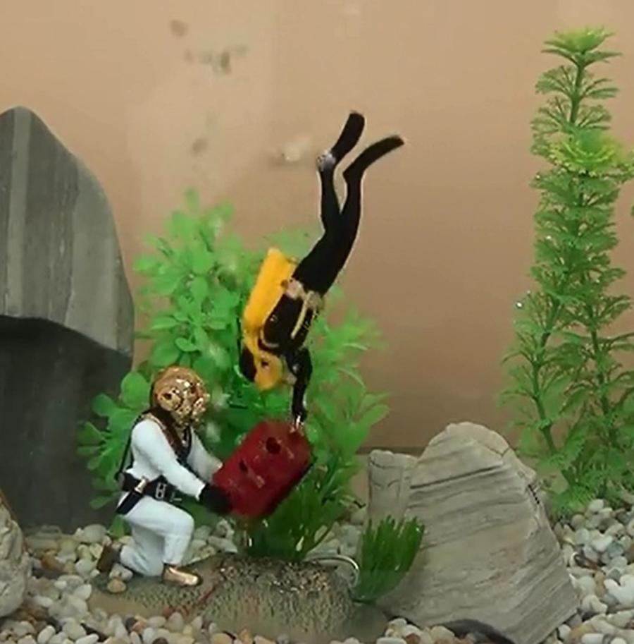 Cabo de guerra submarino Decor - Aquarium Fish Gif avaliação e preço