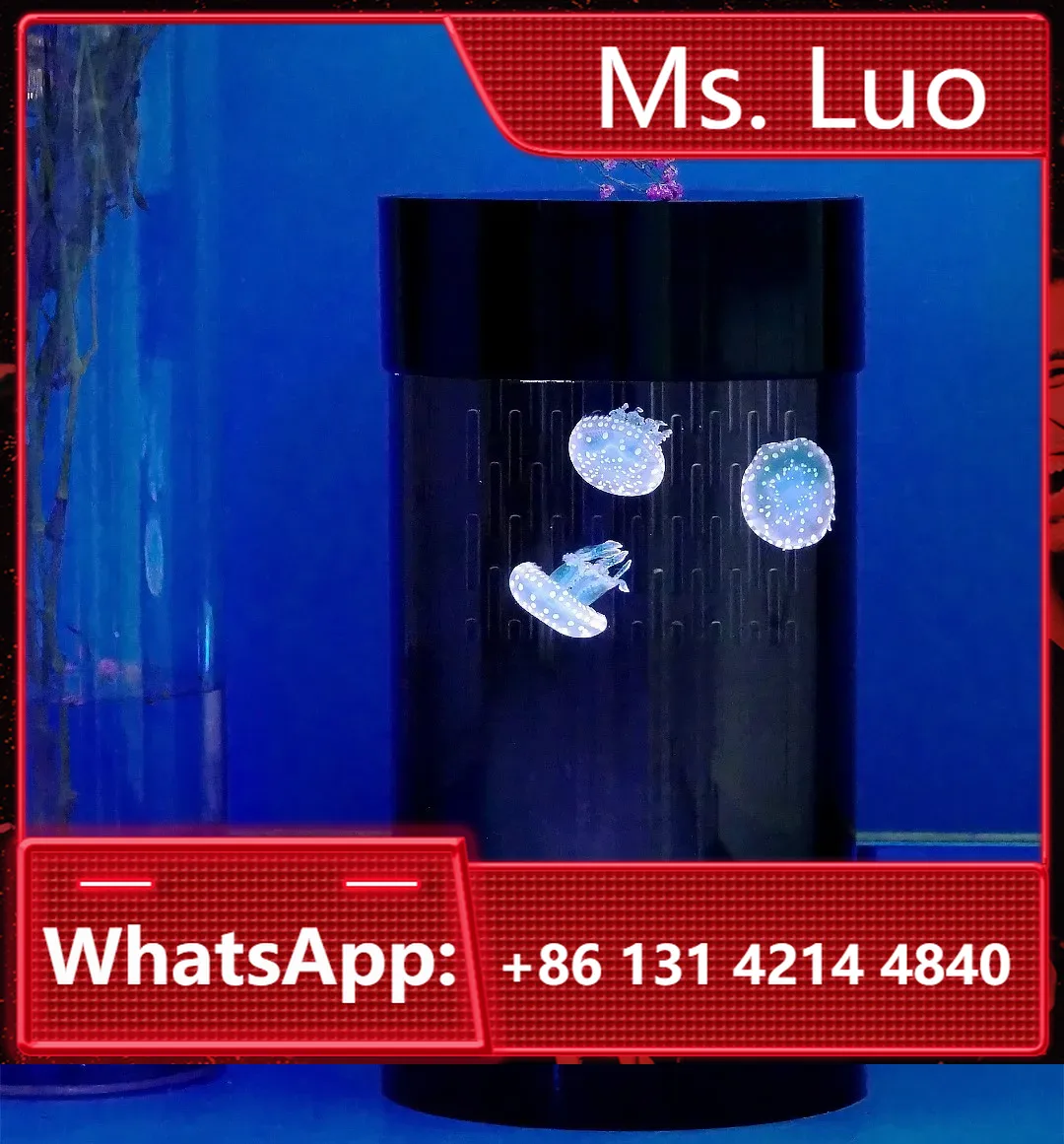 Melhor Venda na Amazon: Aquári - Aquarium Fish Amazon avaliação e preço