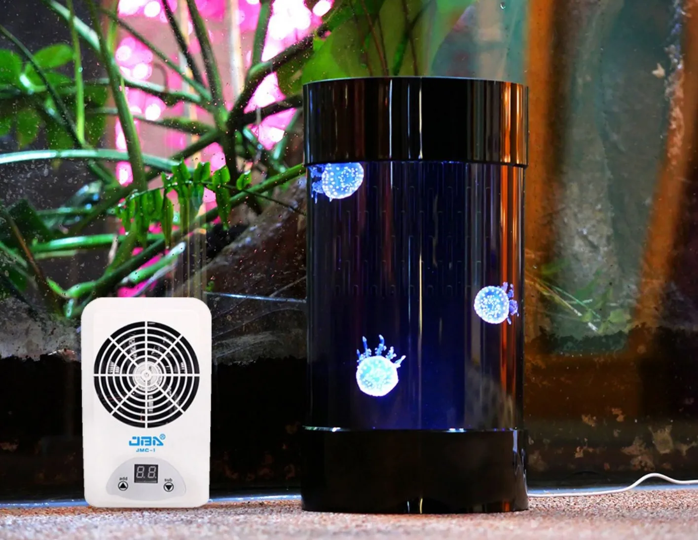 Melhor Venda na Amazon: Aquári - Aquarium Fish Amazon avaliação e preço