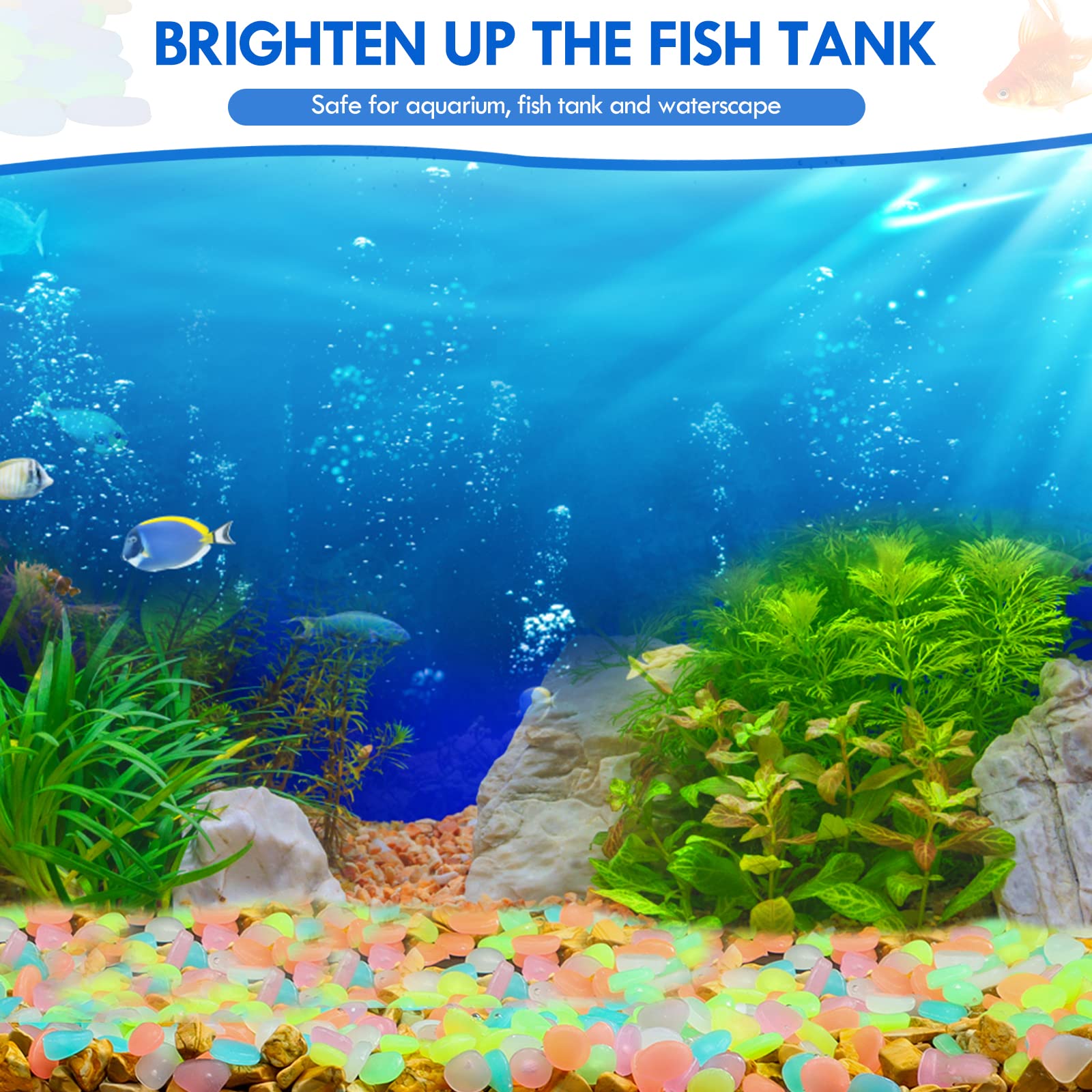 100 pçs brilham no escuro jard - Aquarium Fish Fishing avaliação e preço