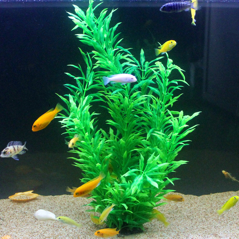 Plantas Artificiais Raras para - Aquarium Fish Fishing avaliação e preço
