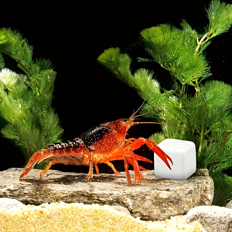 6 pçs tanque de peixes bloco d - Aquarium Fish Lego avaliação e preço